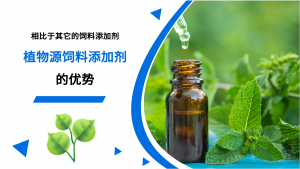 植物源饲料添加剂的优势