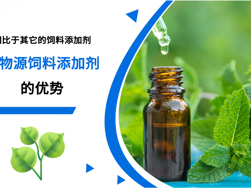 植物源饲料添加剂的优势