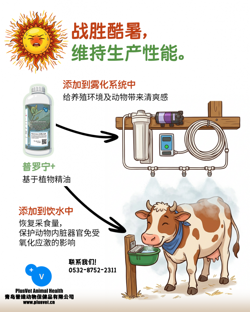 普罗宁+帮助反刍动物战胜热应激