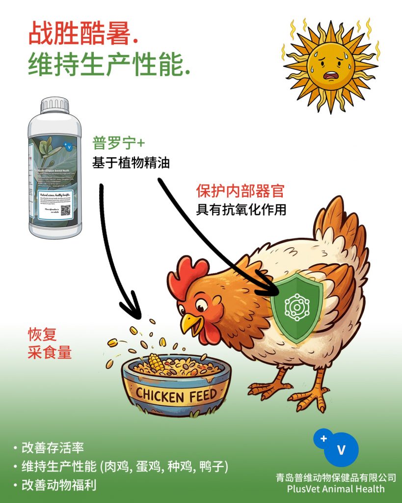 2026年普罗宁+产品信息图