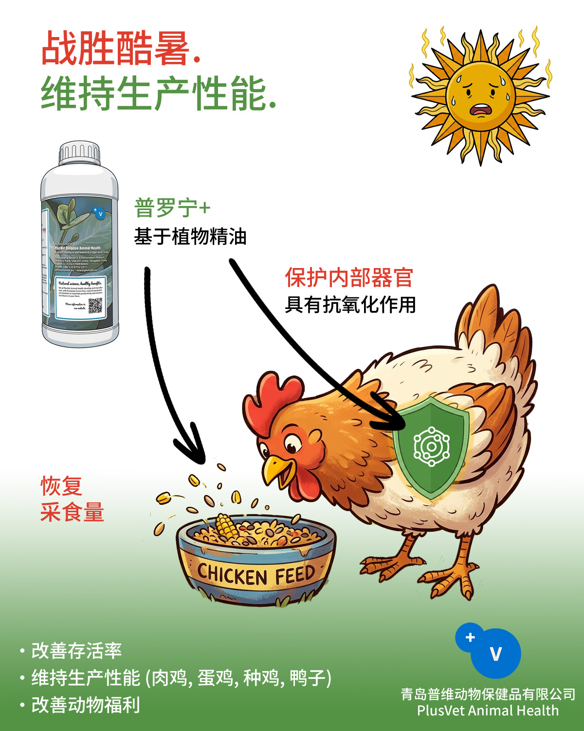 2026年普罗宁+产品信息图