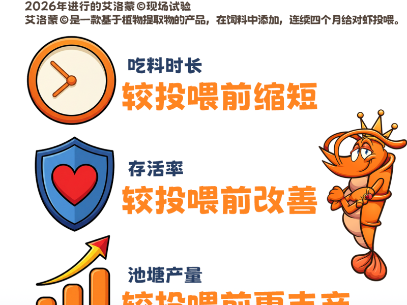 艾洛蒙改善对虾生产性能
