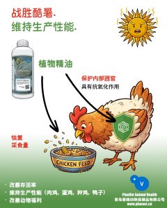 普罗宁+帮助家禽战胜热应激，维持生产性能