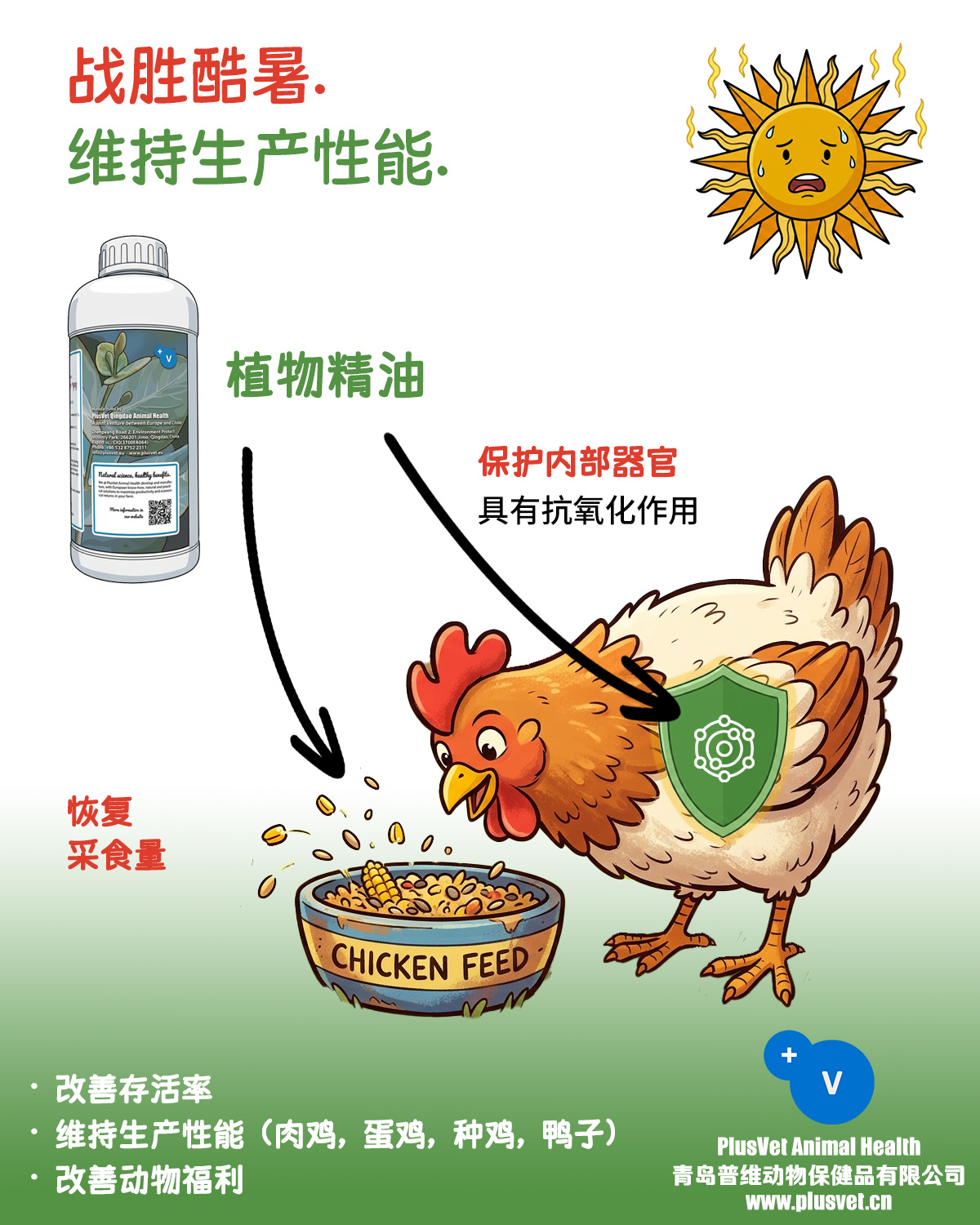 普罗宁+帮助家禽战胜热应激，维持生产性能