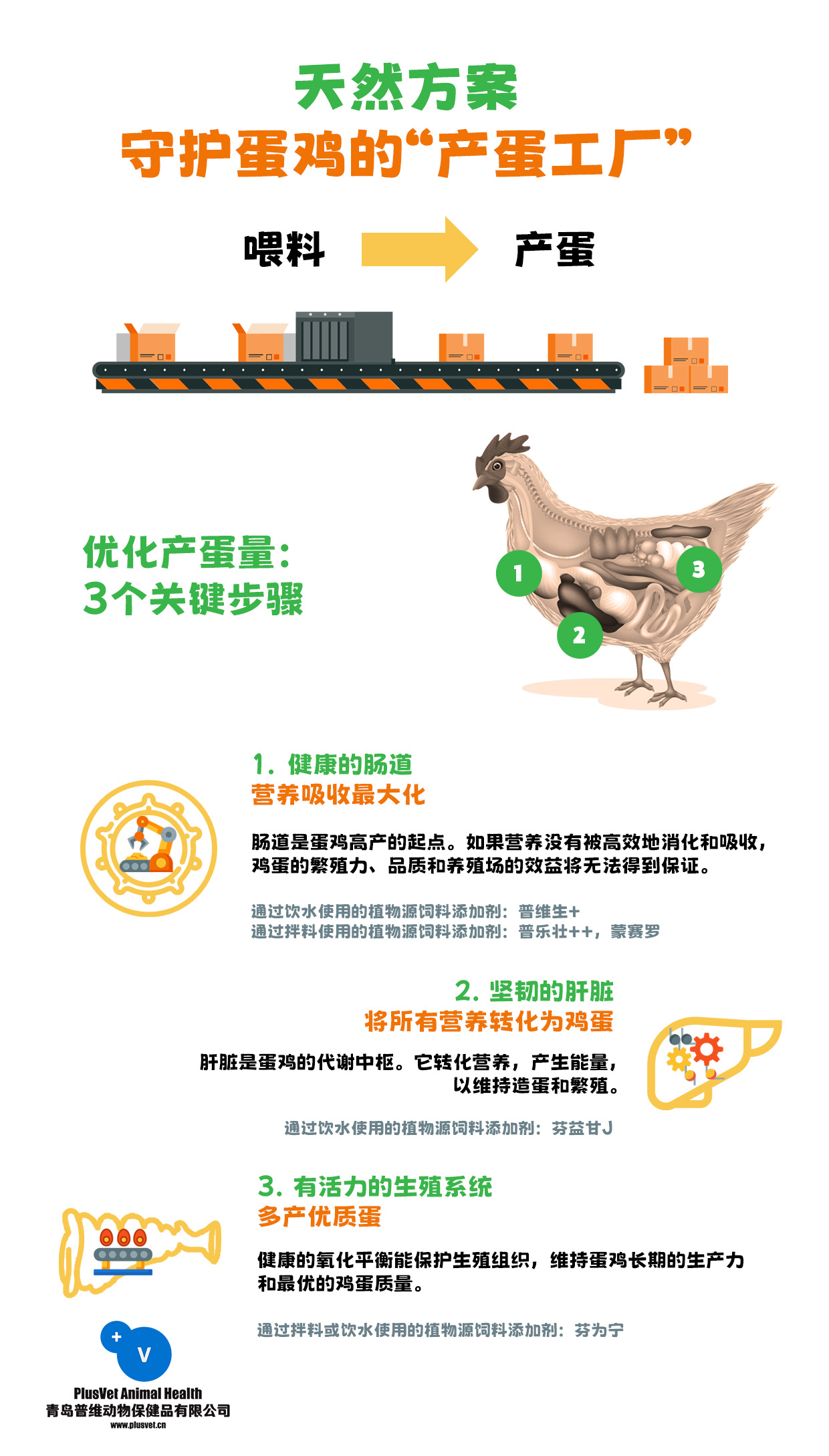 天然方案守护蛋鸡的“产蛋工厂”