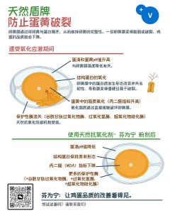 🥚保护鸡蛋品质，需从内部开始。 了解天然抗氧化剂如何在氧化应激期间保持蛋黄的完整性。