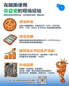 🦐🦐越南使用芬益安©的现场案例 🦐🦐 · 7种主要的病原体——检测结果持续呈阴性； · 池塘中的细菌总数保持在较低且稳定的水平； · 成活率高于行业平均水平，且日增重可观； · 出虾时壳色鲜亮、虾壳光洁、个头均匀。