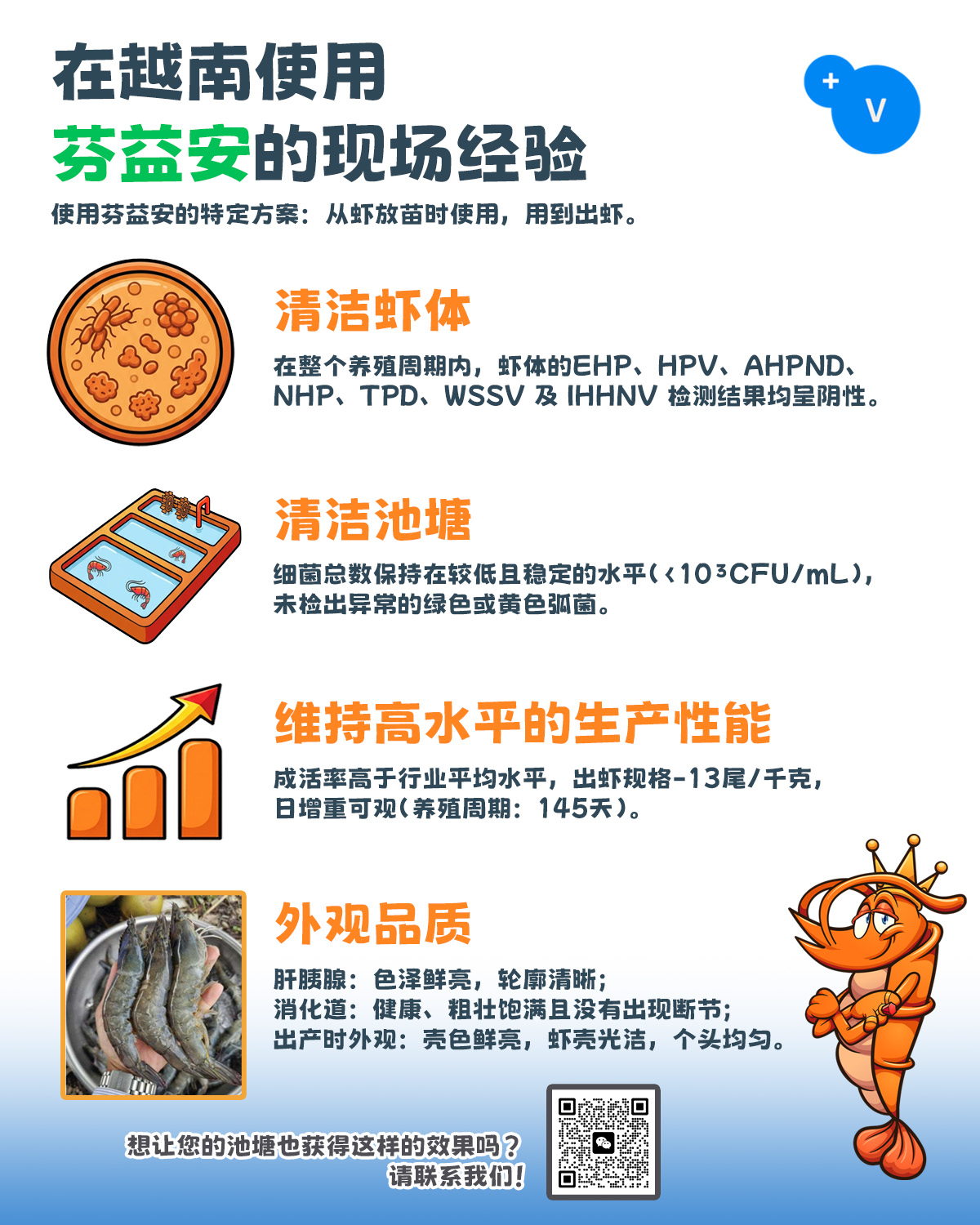 🦐🦐越南使用芬益安©的现场案例 🦐🦐 · 7种主要的病原体——检测结果持续呈阴性； · 池塘中的细菌总数保持在较低且稳定的水平； · 成活率高于行业平均水平，且日增重可观； · 出虾时壳色鲜亮、虾壳光洁、个头均匀。