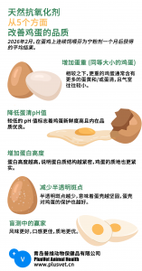 探索天然抗氧化剂如何让鸡蛋更新鲜、风味更好、口感更佳、品质更优。