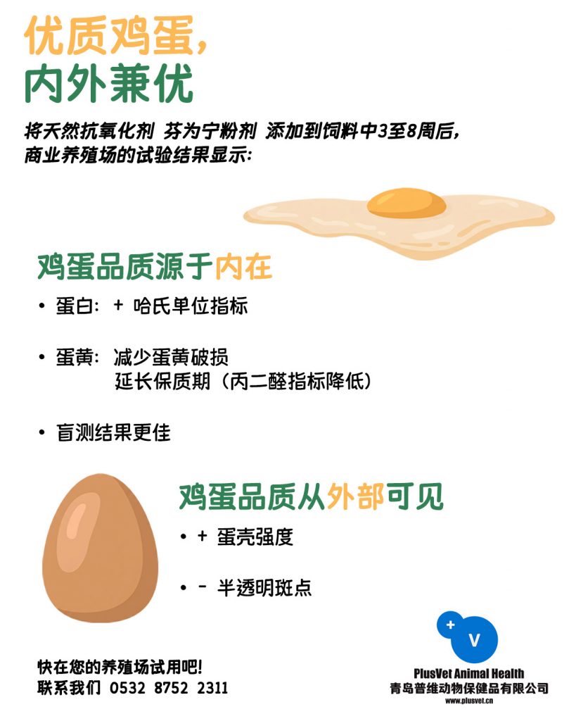 优质鸡蛋，内外兼优