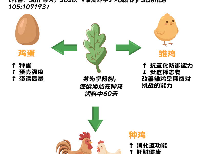 一款天然抗氧化剂，三重协同作用