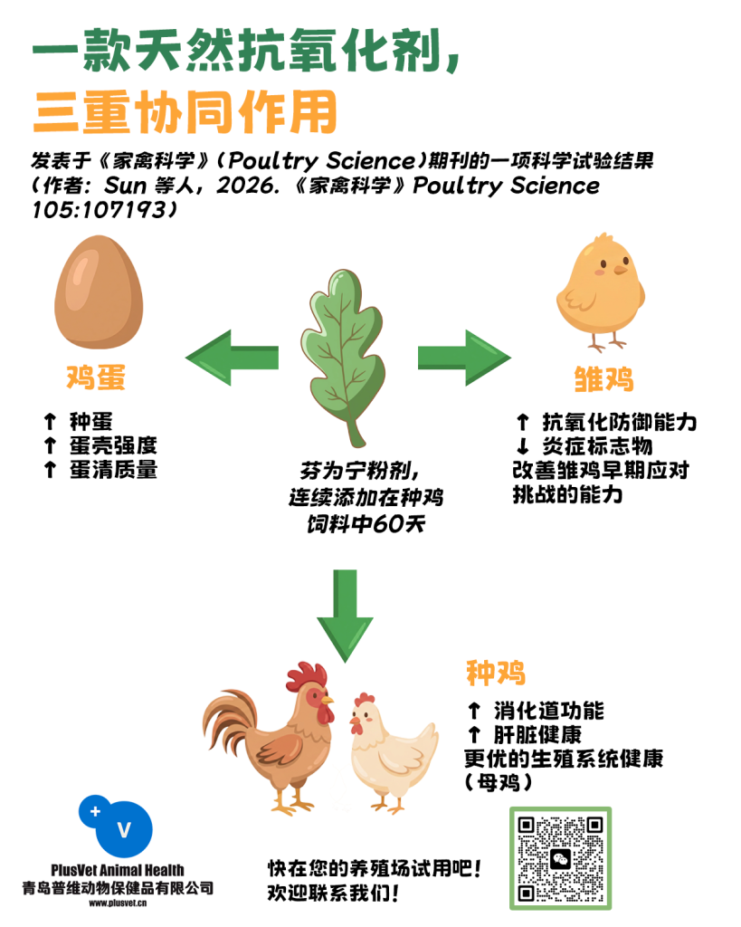 一款天然抗氧化剂，三重协同作用