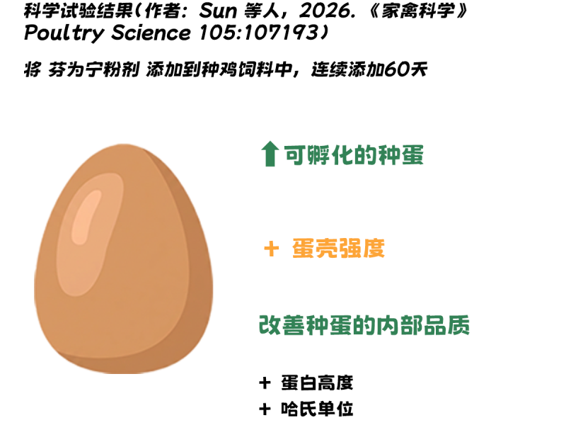 品质更好的种蛋，孵化潜能更优