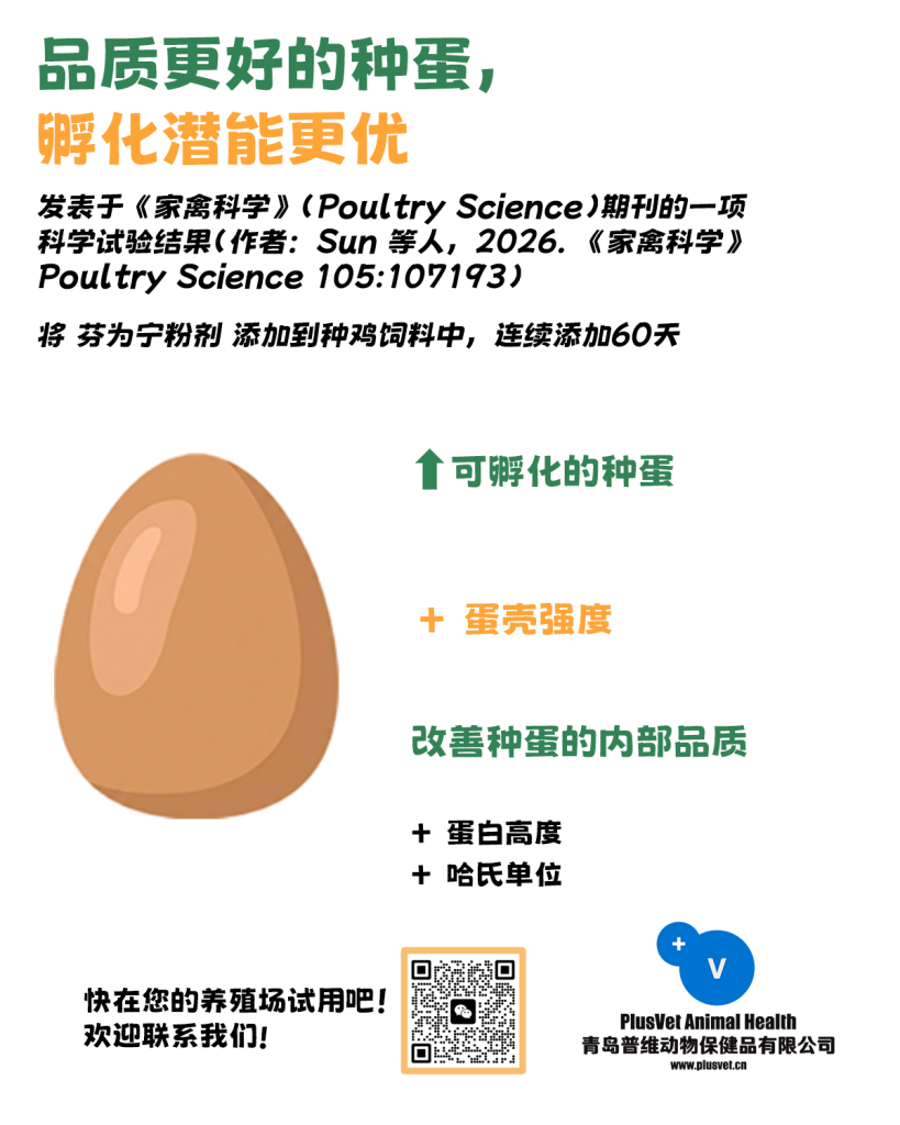 品质更好的种蛋，孵化潜能更优