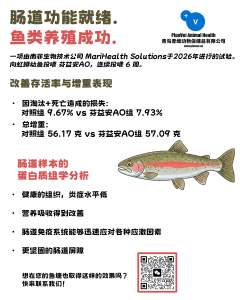 肠道功能就绪，鱼类养殖成功