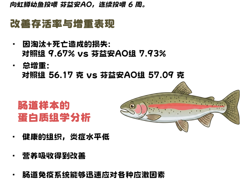 肠道功能就绪，鱼类养殖成功