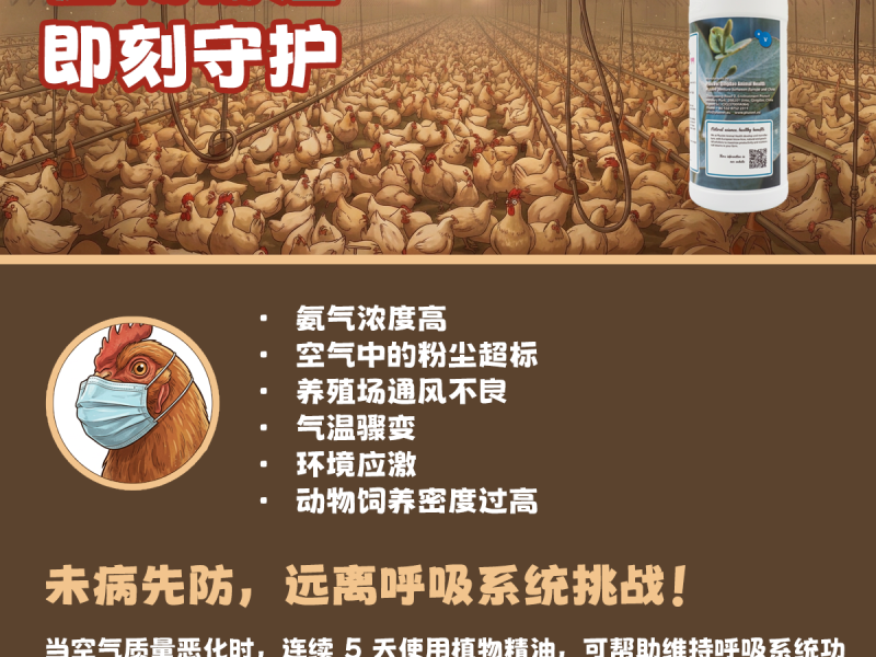 别等到鸡群出现咳嗽才采取行动！