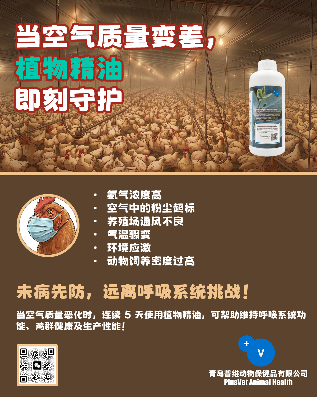 别等到鸡群出现咳嗽才采取行动！