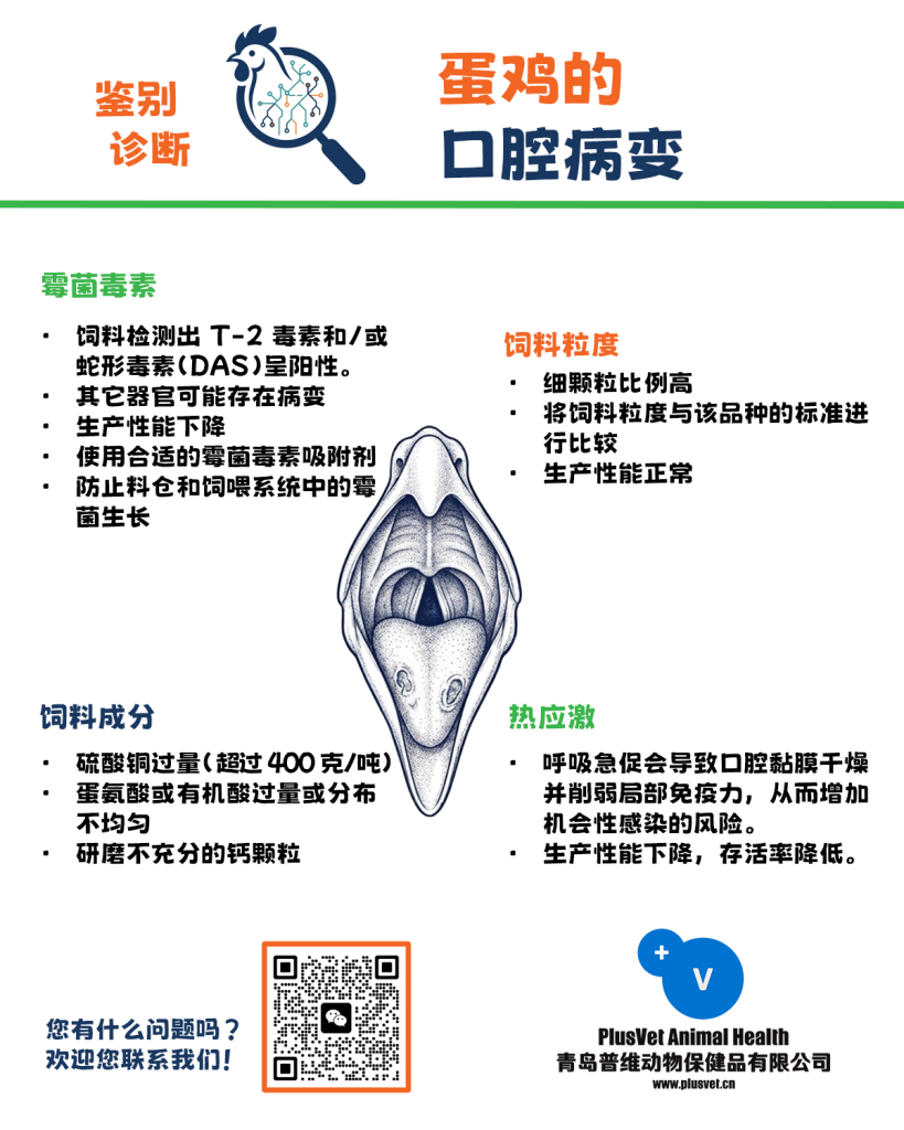 蛋鸡口腔病变的鉴别诊断