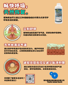 植物精油可以通过三个核心的作用方式，在寒冷季节，天然地守护养殖动物的呼吸系统健康