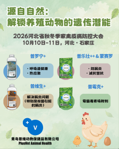 【预告】2026河北省秋冬季家禽疫病防控大会